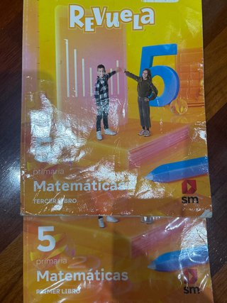 Matematicas 5 primaria Revuela