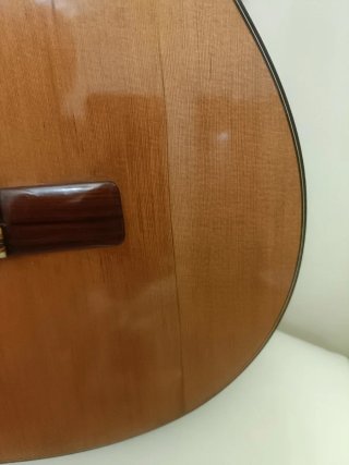 Guitarra Flamenca Jose Luis Pedregosa