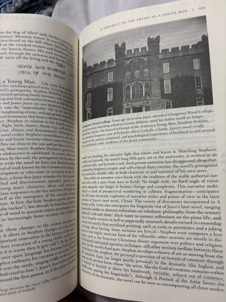 The Norton Anthology of English Literature Tent...