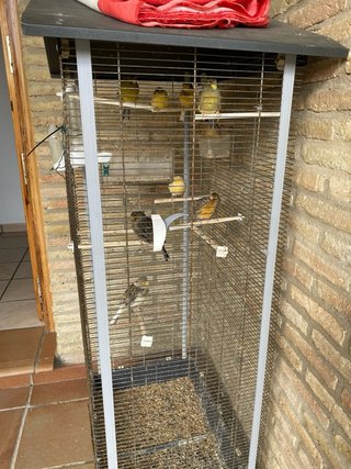 Jaula para pájaros
