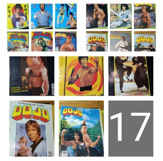 Lote 17 revistas vintage artes marciales: DOJO