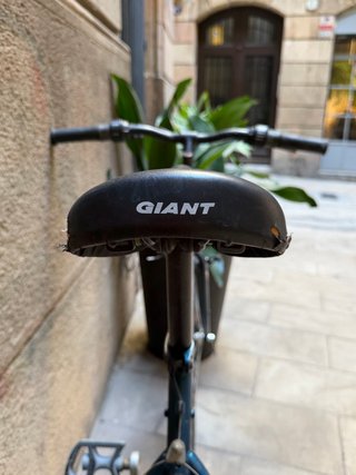 Bicicleta Giant MTB X1000 Montaña