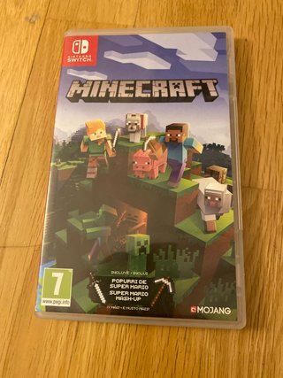 Minecraft Nintendo Switch