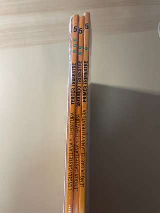 Libro lengua castellana 5 primaria edelvives