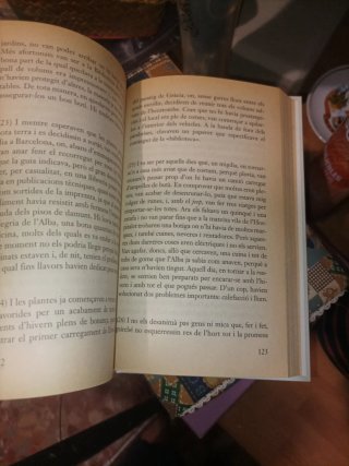 Mecanoscrit del segon Origen