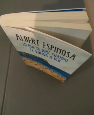 Lo que te diré cuando te vuelva a ver