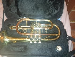 Trompeta de Metal