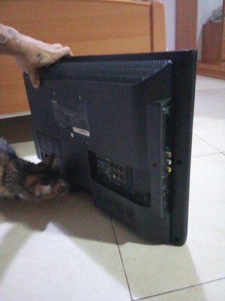 Pantalla Toshiba 24 sin pie