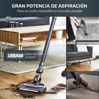 Aspiradora Vertical Rowenta X-Pert 6.60