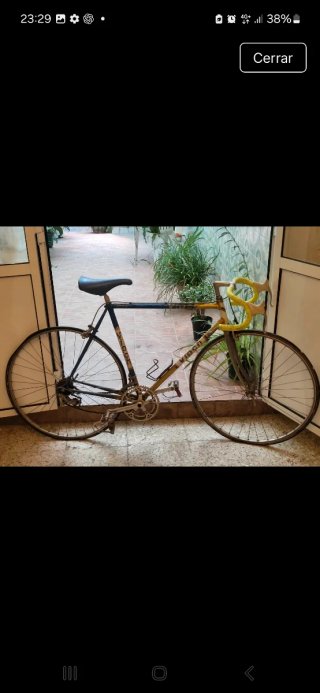 Bicicleta de Carretera Clásica Vipch