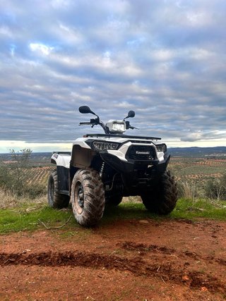 Kawasaki Brute Force 450