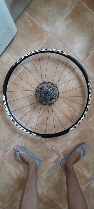 Rueda trasera Mavic Crossmax 29" + Casete (MTB)