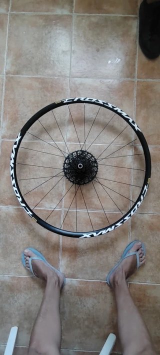 Rueda trasera Mavic Crossmax 29" + Casete (MTB)