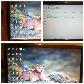 PC Asus + Monitor LG 22 + Periféricos