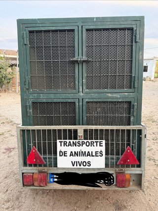 Carro de caza