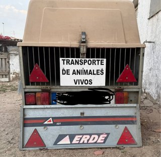 Carro de caza