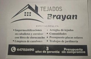 Servicios de Tejados Brayan