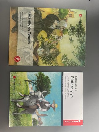 Lote 2 libros clásicos de la literatura