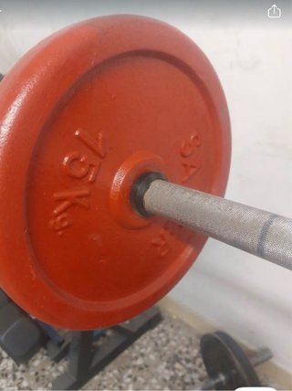 Barra y discos de pesas Salter 30kg
