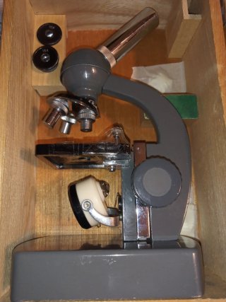 Microscopio Roan Educativo 100X-250X