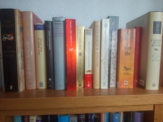 Libros. Ensayos, novelas. actuales, clásicos....