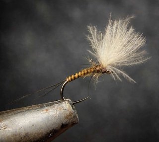 MOSCAS PARA LA PESCA DE TRUCHAS