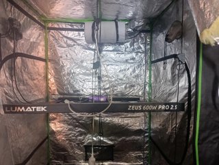 LUMATEK Zeus 600W PRO 2.9 Darkbox 150x150x220