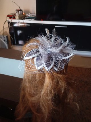 Adorno para cabello con plumas y rejilla