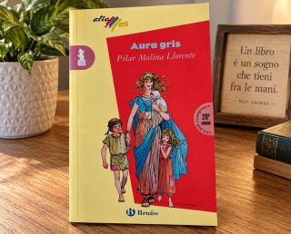 Aura gris - Pilar Molina Llorente