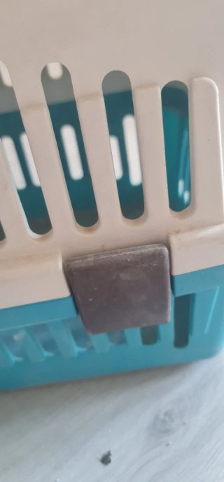 Transportín para Gato o Perro Pequeño