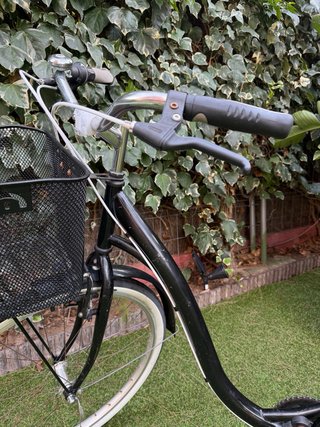 Bicicleta de Paseo Vintage Negra