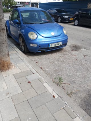 Volkswagen Beetle 2006