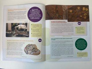 Cuaderno Biología y Geología 4º ESO - Santillana