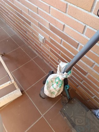 Patín Eléctrico SmartGyro
