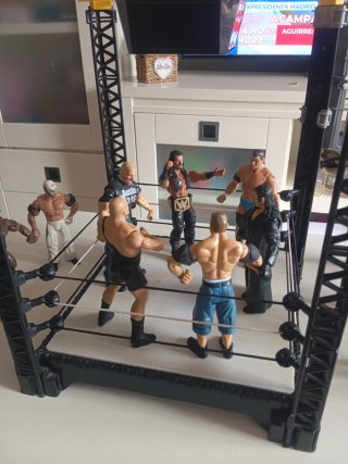 Lote WWE: Ring + 19 Figuras