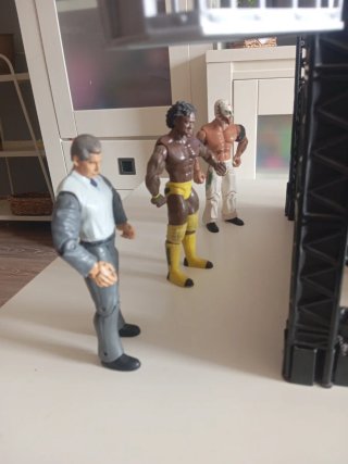 Lote WWE: Ring + 19 Figuras