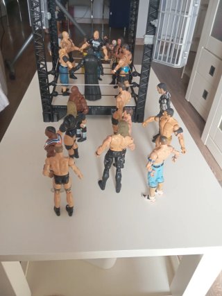 Lote WWE: Ring + 19 Figuras
