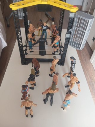Lote WWE: Ring + 19 Figuras