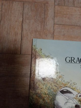 GRACIAS TEJON de Susan Varley