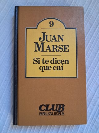Si te dicen que caí