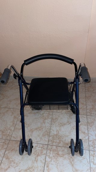 silla andadora