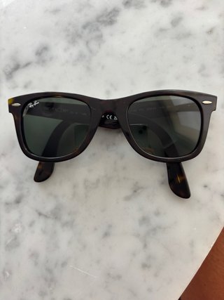 Gafas de sol Ray-Ban Wayfarer con su funda