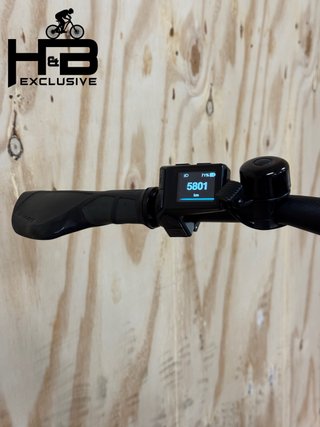 Giant Explore E+3 Shimano Alivio 2022