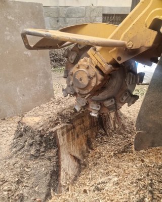 Servicio de destoconado profesional
