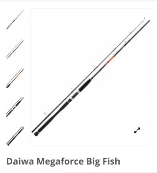 Caña Daiwa Megaforce Big Fish