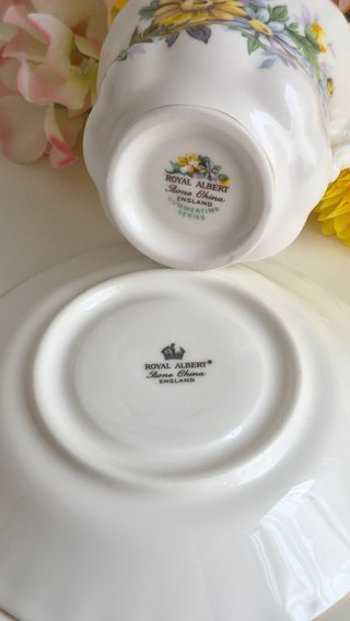 Taza y platillo Royal Albert porcelana inglesa