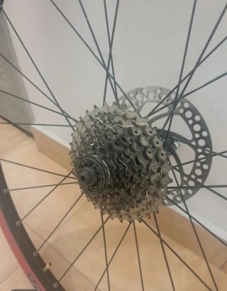 Rueda de 29 pulgadas para rodillo