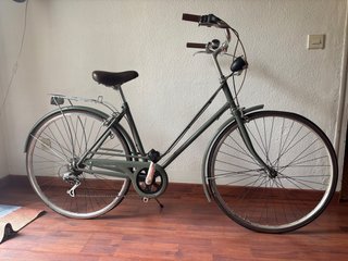 Bicicleta Clásica Paseo Verde