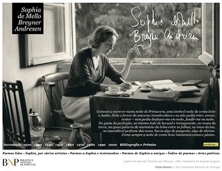 Paginadora e designer gráfico profissional.