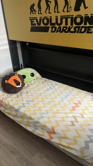 Litera plegable con armario y estantería